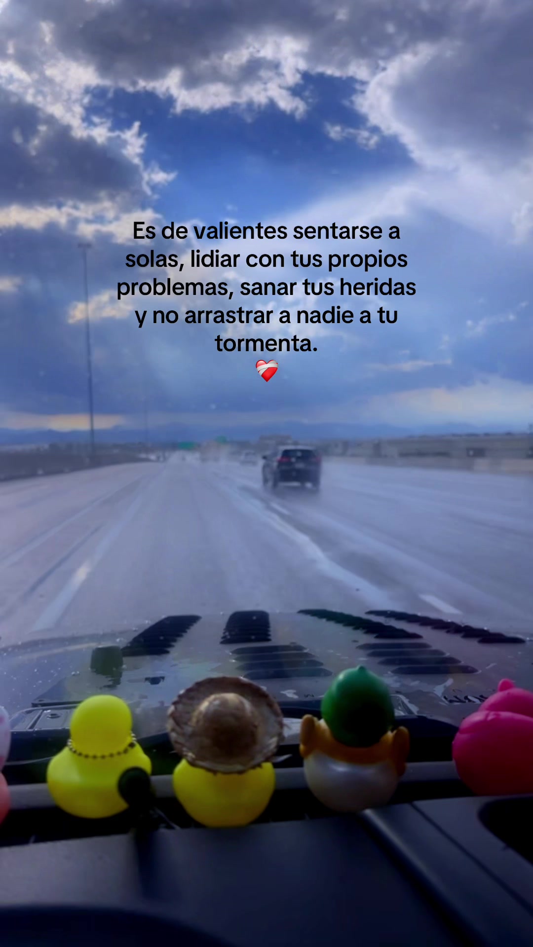 @☄️🧠🇲🇽Bere🇲🇽🦁🫀👑🎺🪼🐢✝️