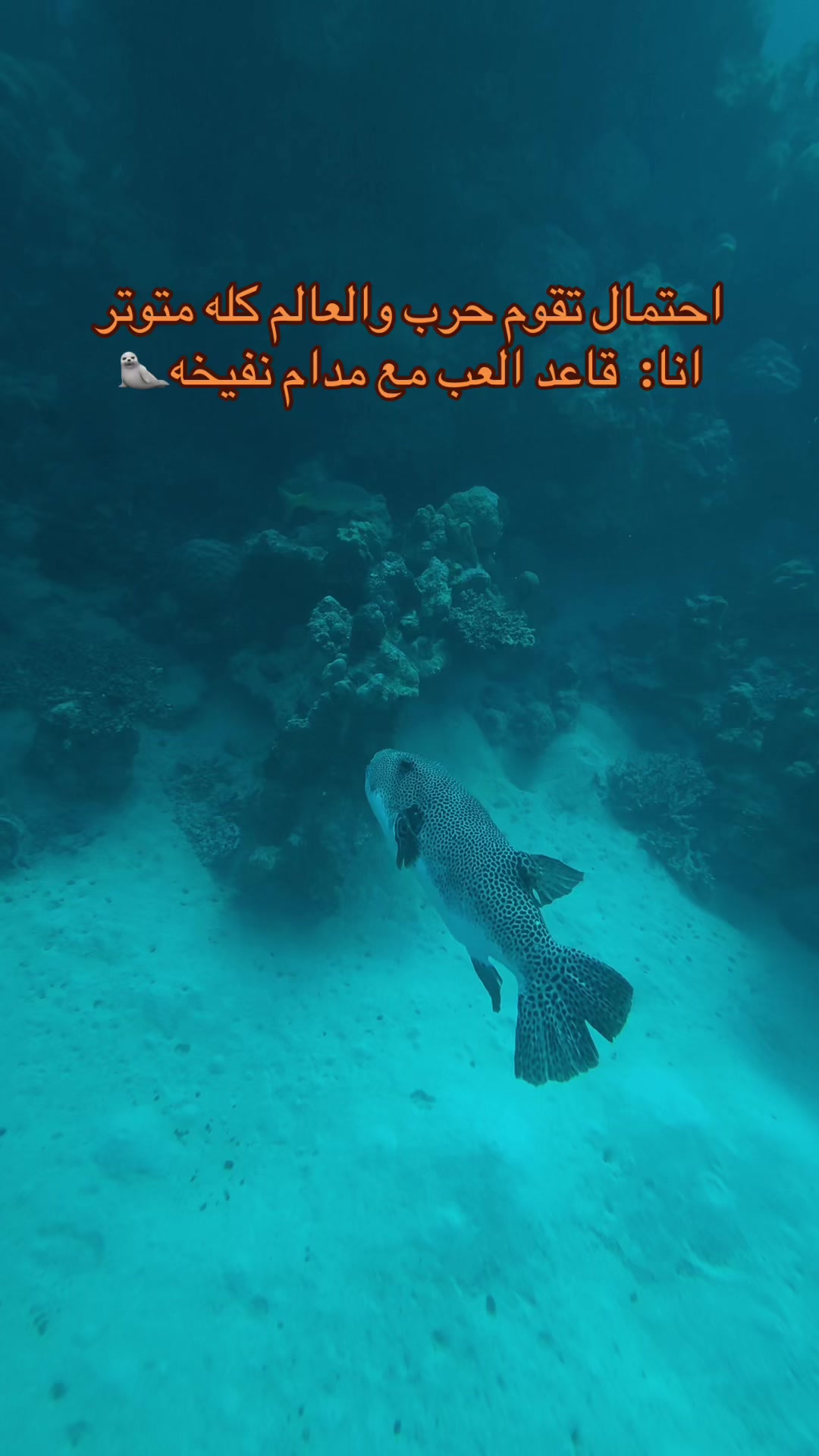 @غواص حر