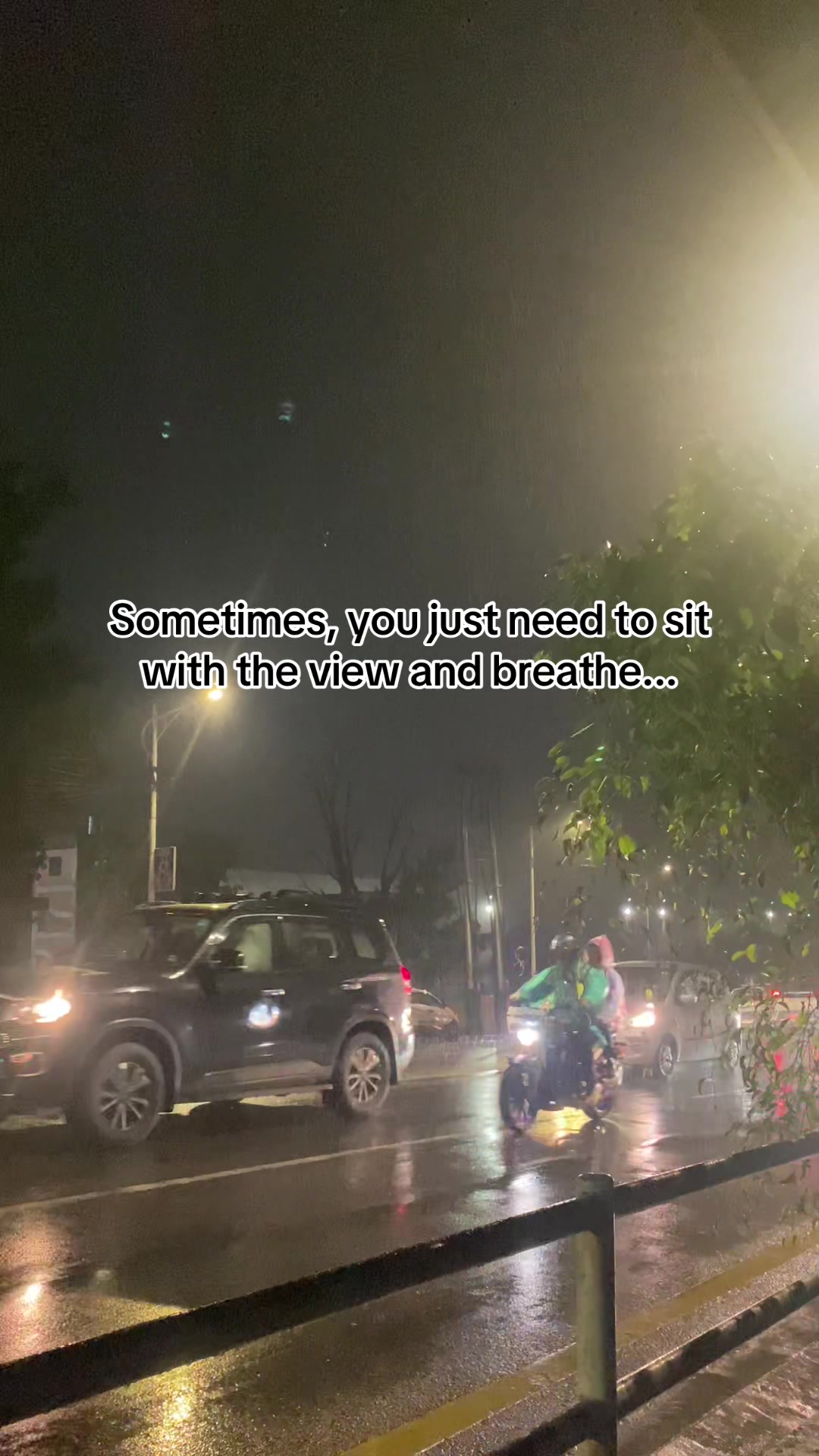 @ShyWanderer