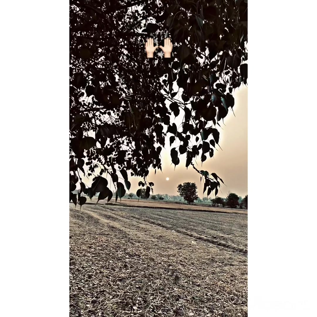 @Gujjar🔛🔝