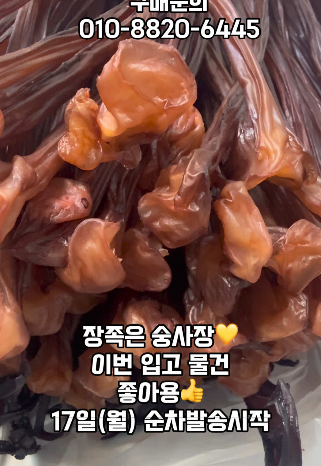 @숭사장건어물(숭사장오징어)🦑