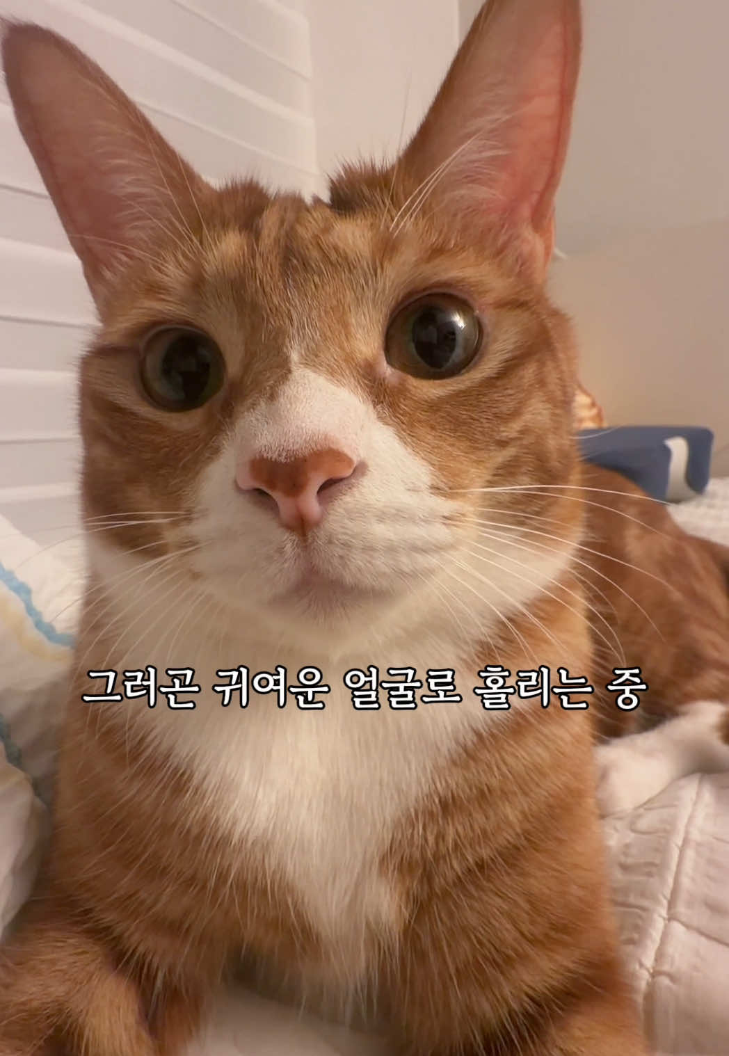 @뮤춘삼