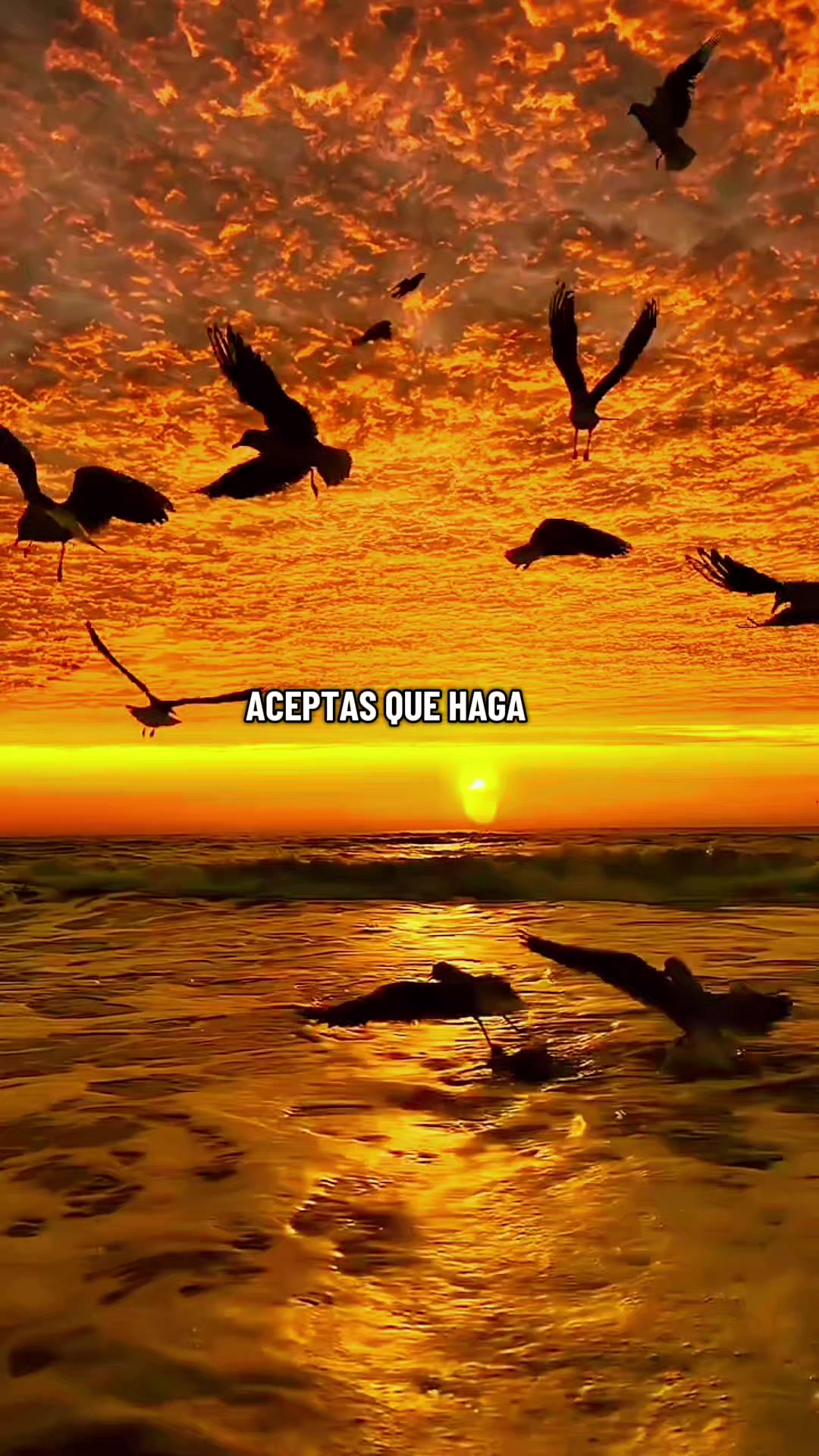 @@Teo Rodriguez