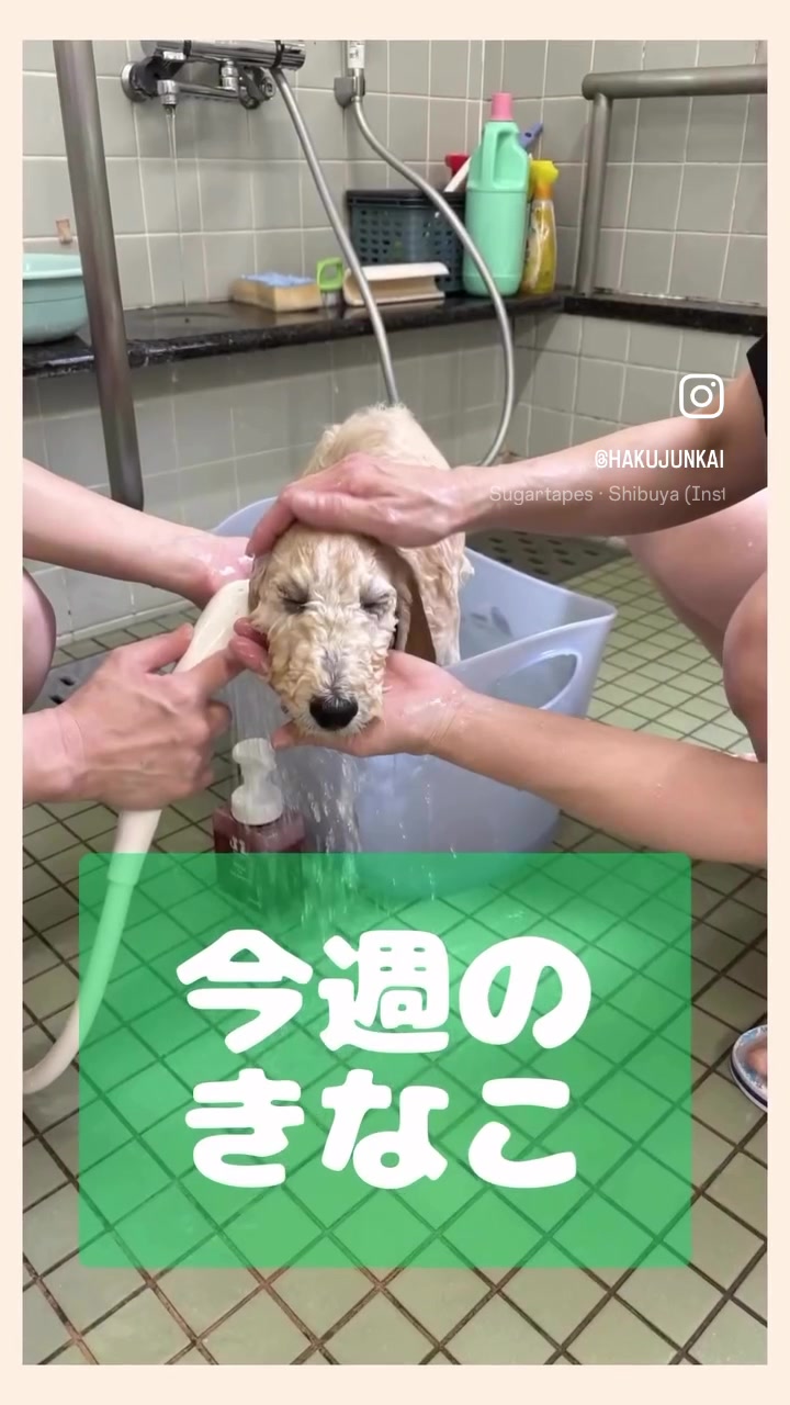 @博順会 博純苑