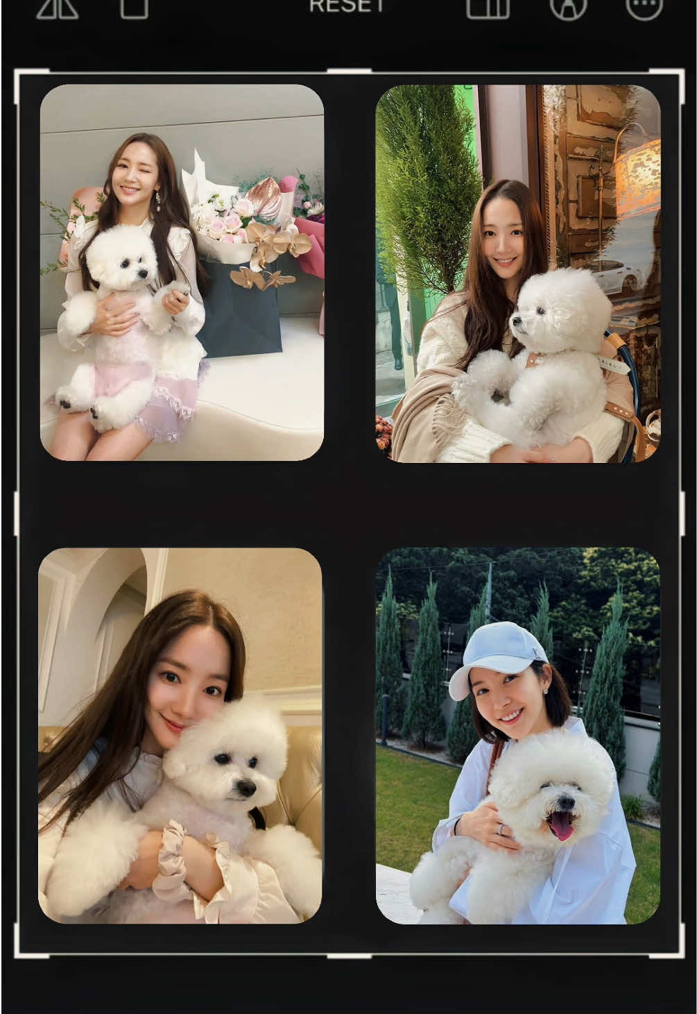 @Bean 콩알