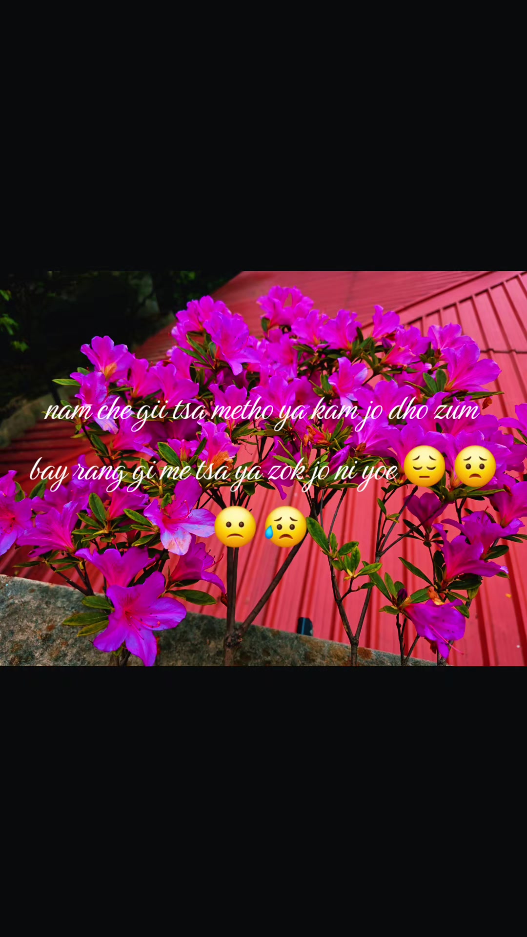 @སྐྱོ་བའི་མི་ཚེ།།