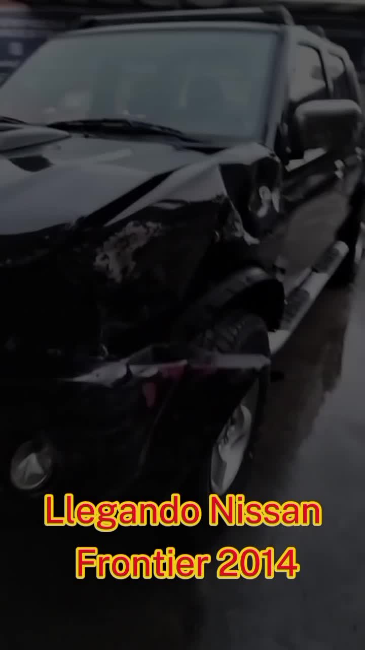 @Dalimo