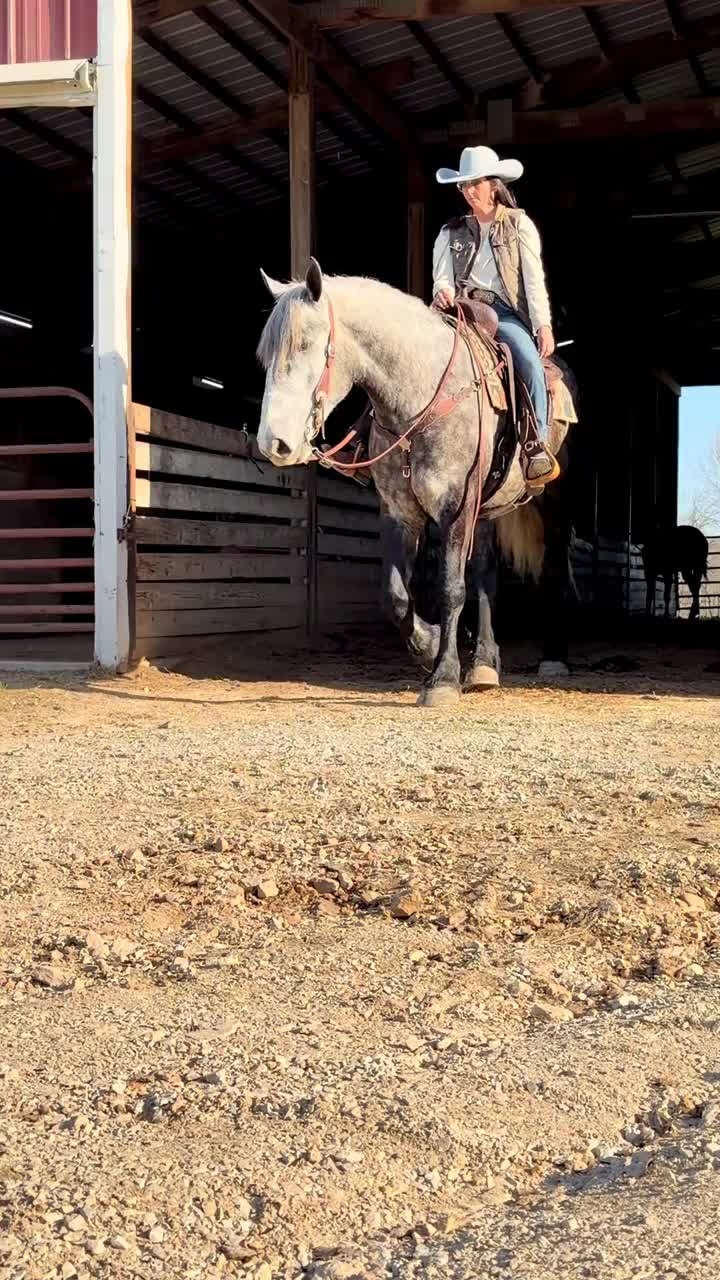 @Lucky D Ranch 🍀