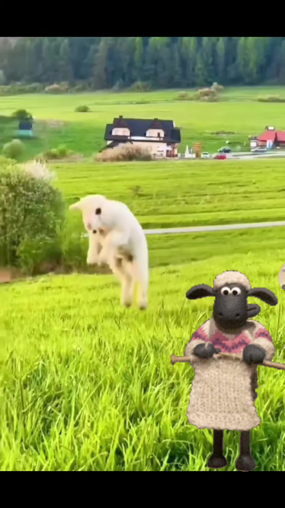 @በጓ⚡🐏[ሙሉ ሸዋ]