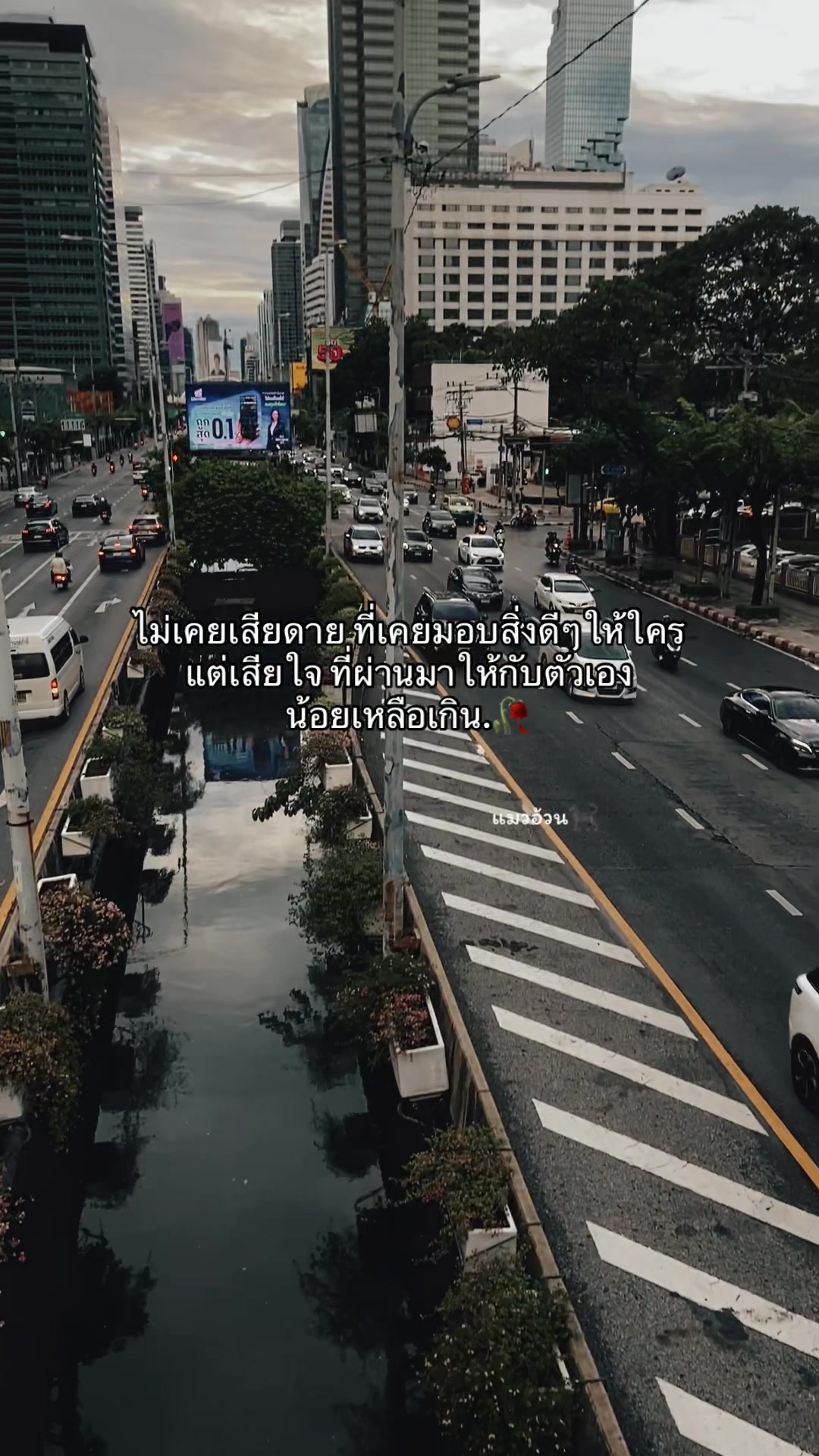 @แมวอ้วน🐈⬛