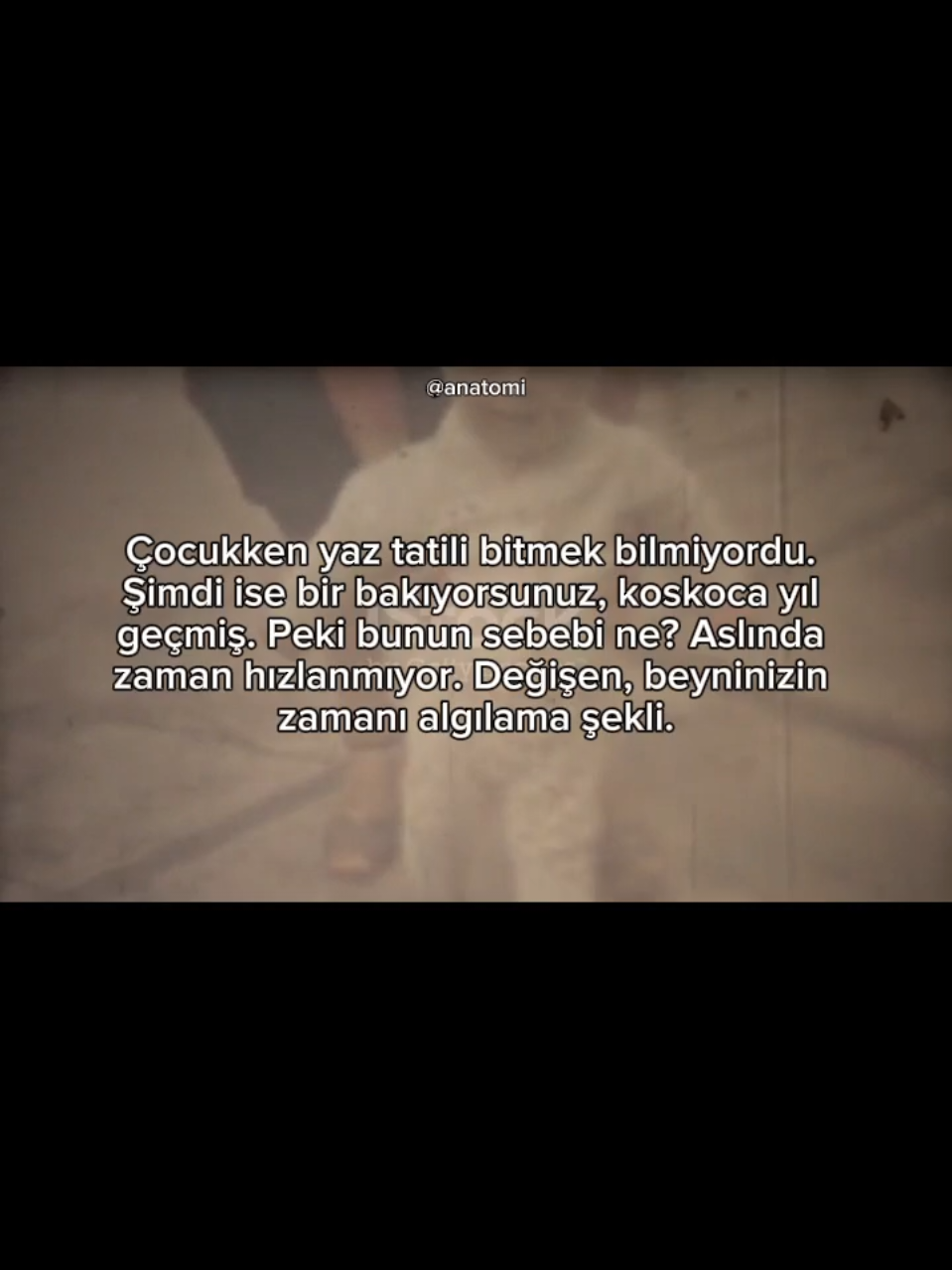 @Anatomi