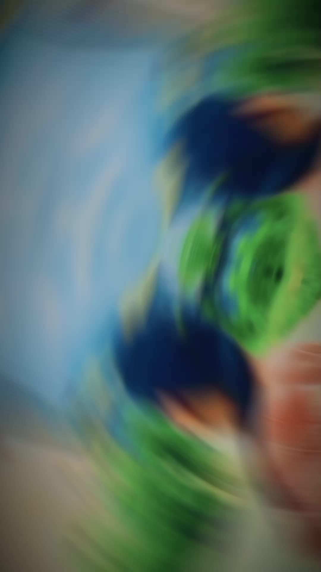 @𝓝𝓐𝓥𝓐𝓝𝓔𝓢❤🪽