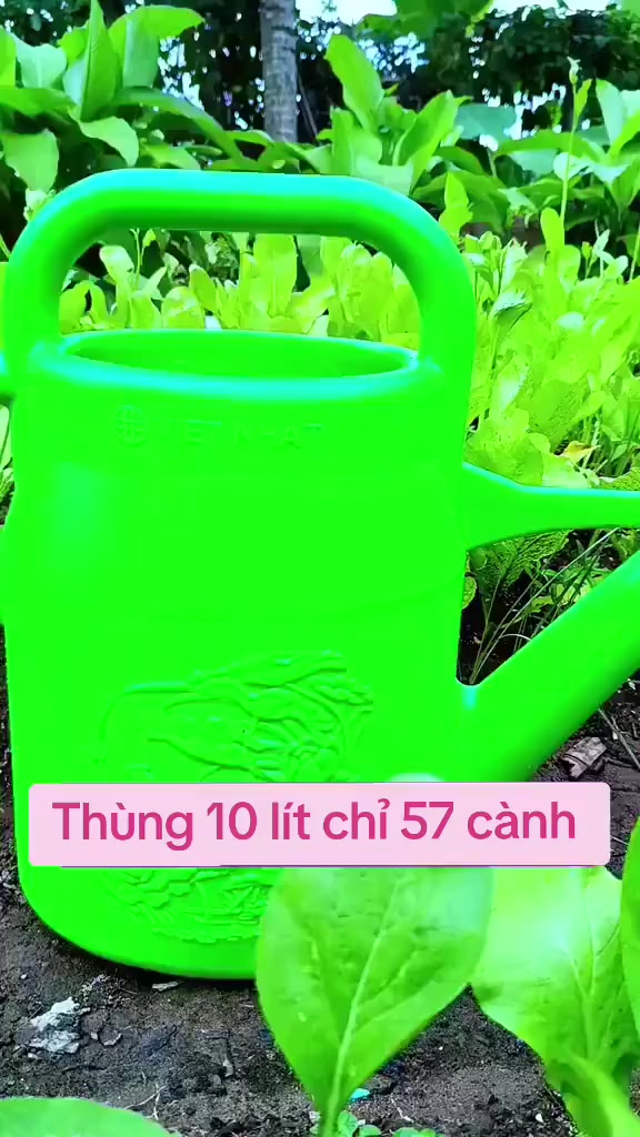 @Lạc Lạc