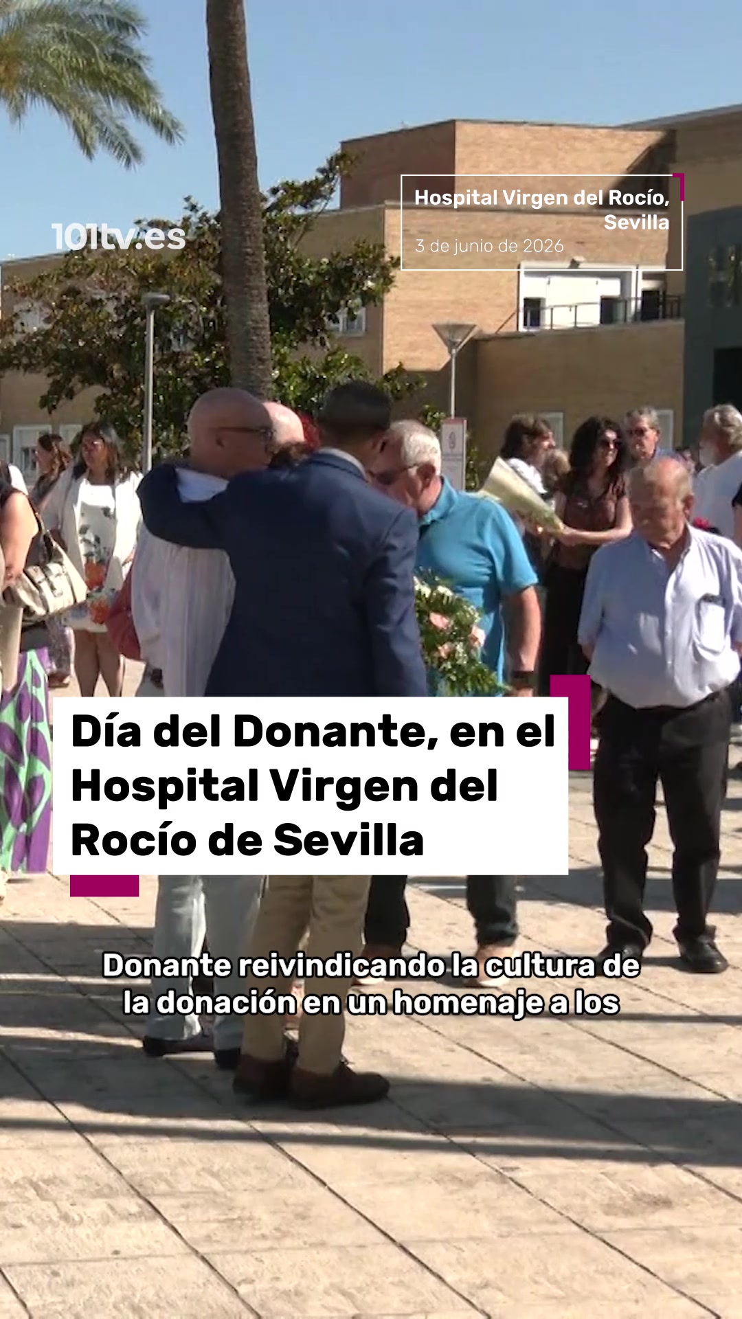 @101tv.es Sevilla