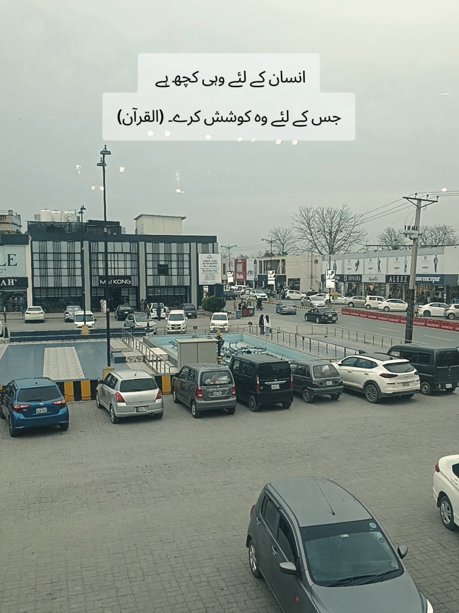 @Naveed mughal☑️