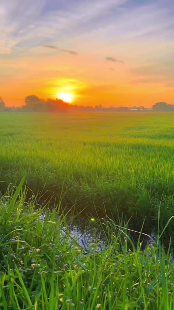 @Phương Nhung - 79 🍀🍀🍀