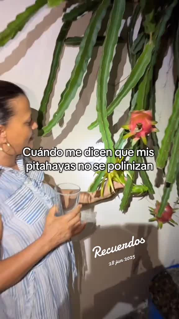 @Jacqueline Saldivar