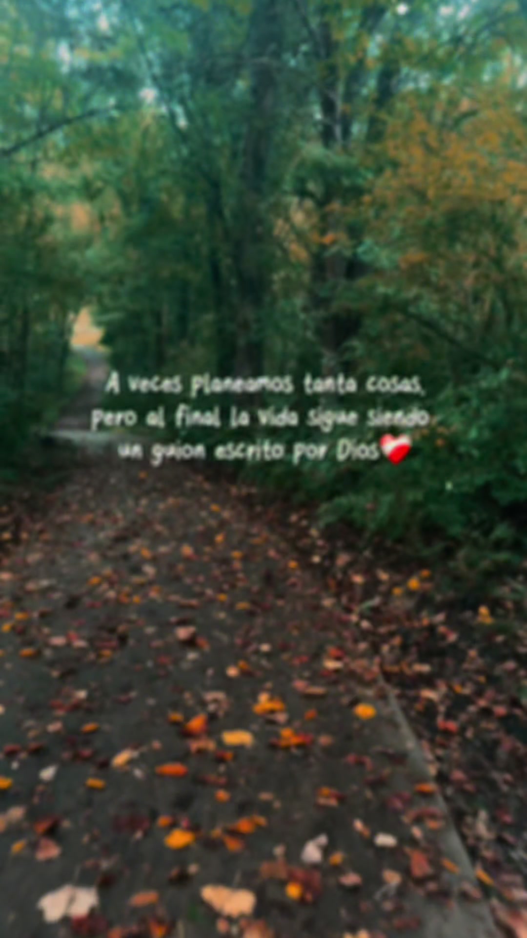@🌺juanys🌺🍁