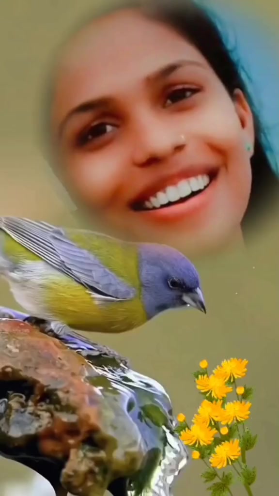 @PARIDHISAH