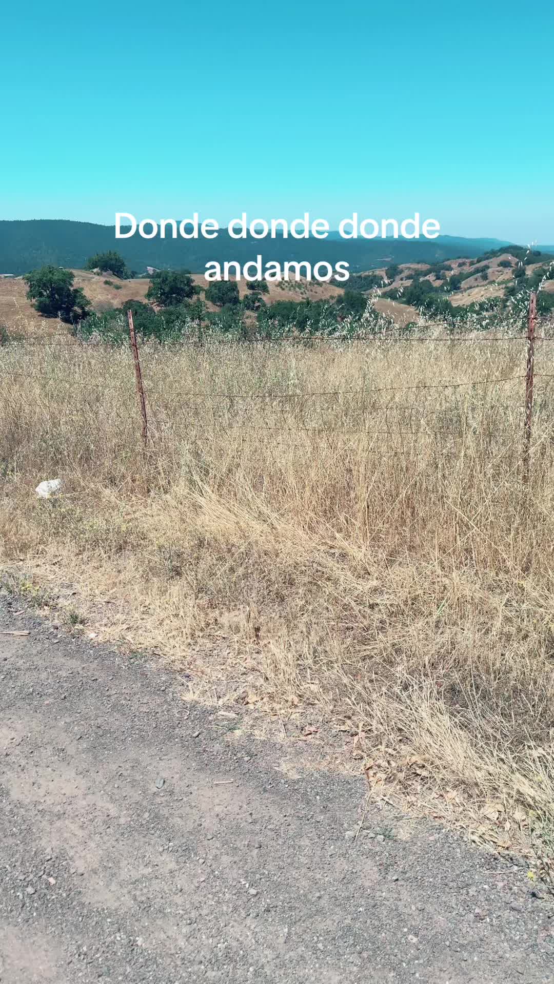 @Palmis