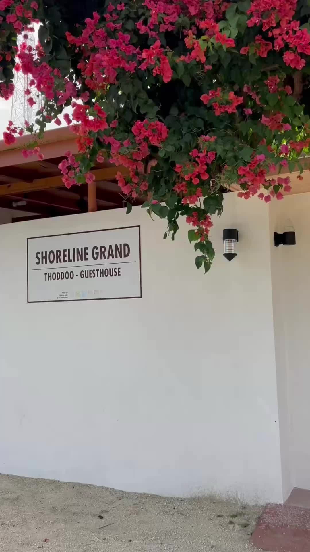 @Shoreline Thoddoo
