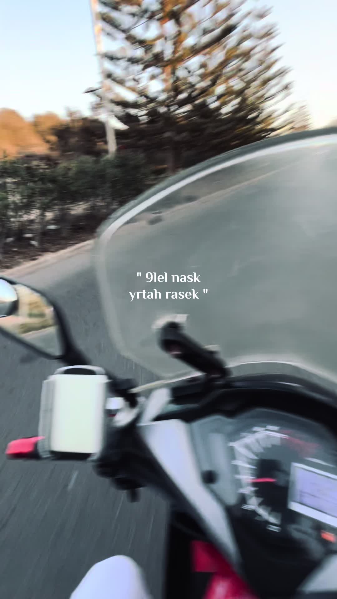 @๐ฑ๐ช๐ถz๐ช