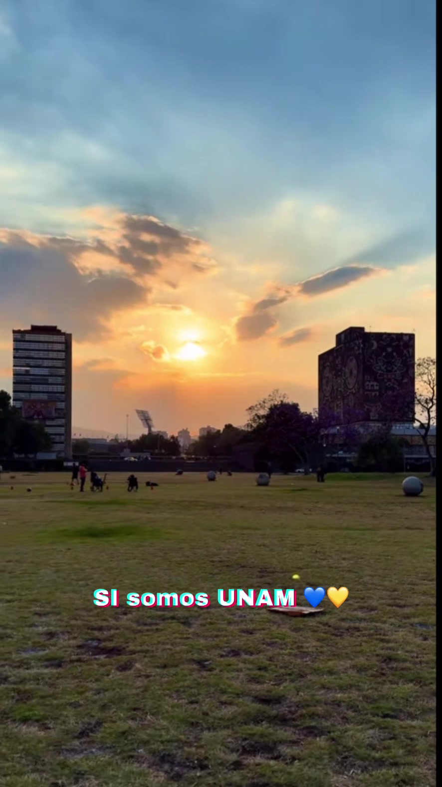 @DGIRE UNAM