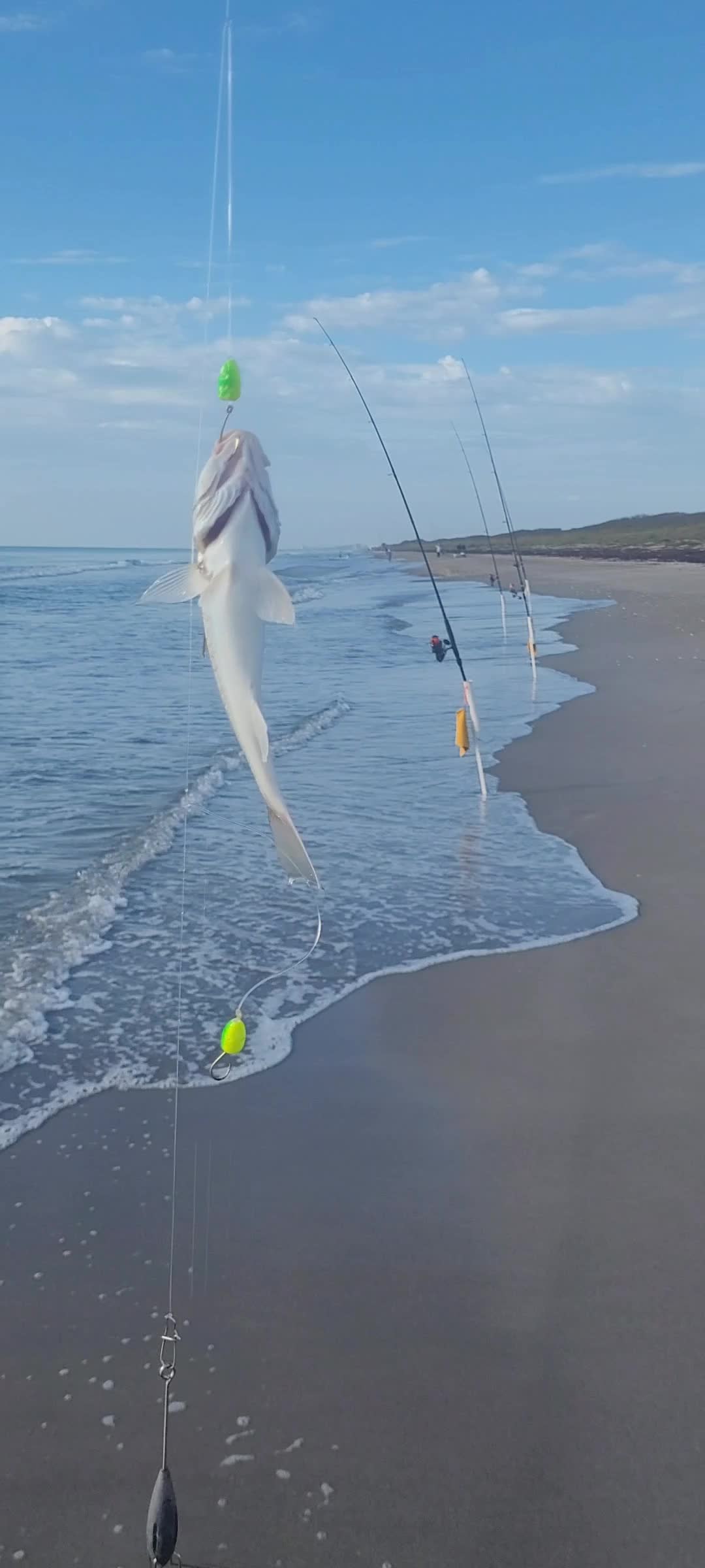 @Ghost of Space Coast Fishing