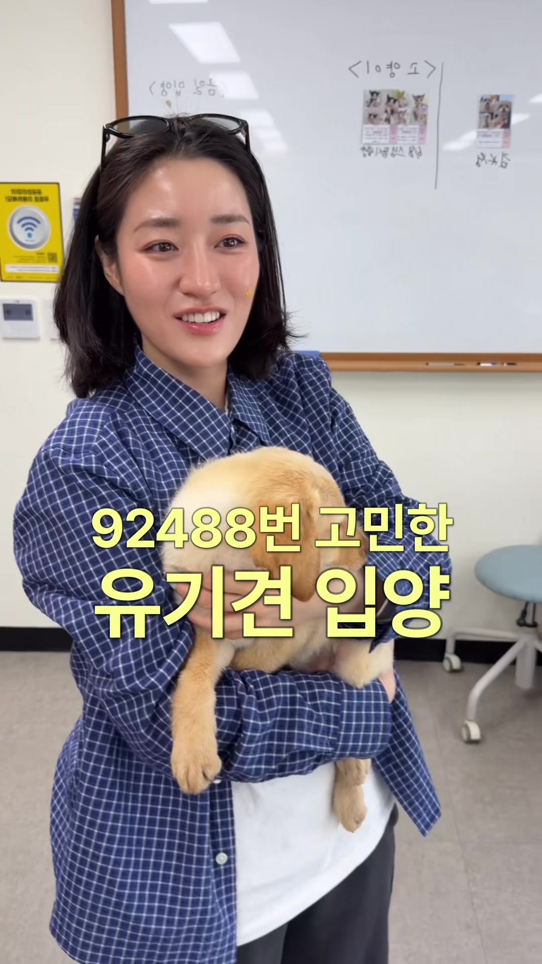 @슈히 Shoohee