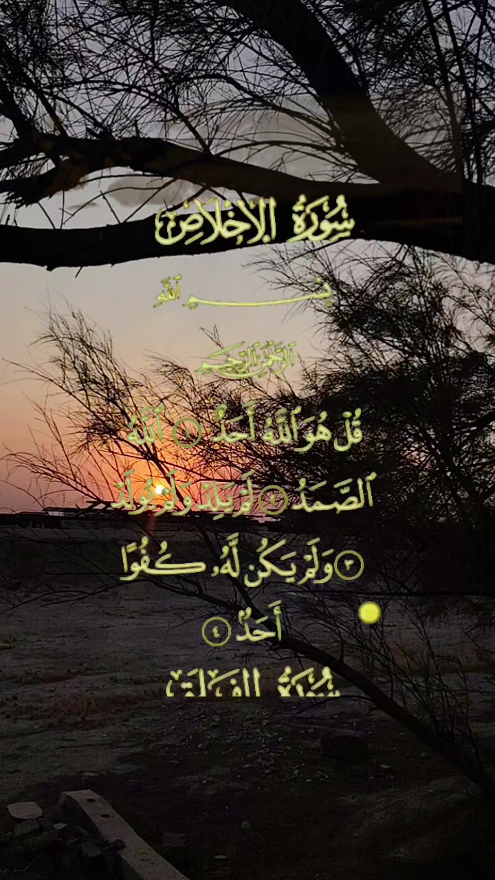 @واثقه بالله
