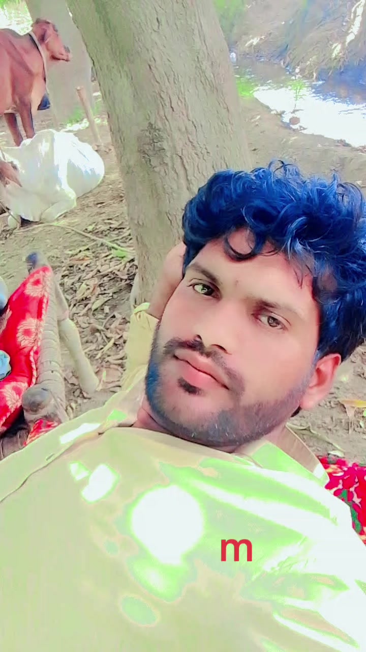 @mohd tariq