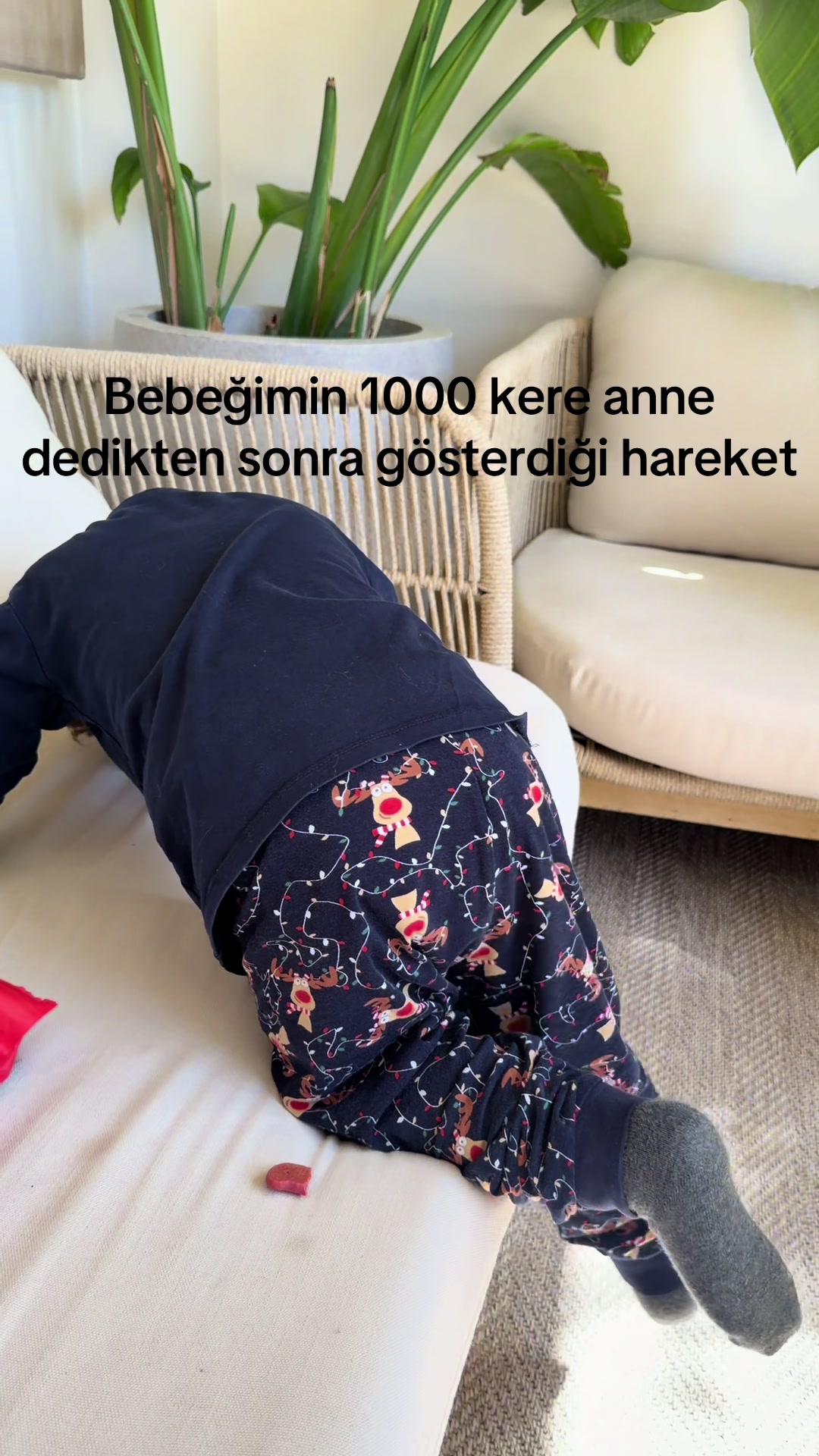 @Rojda İlaldı G&uuml;rb&uuml;z