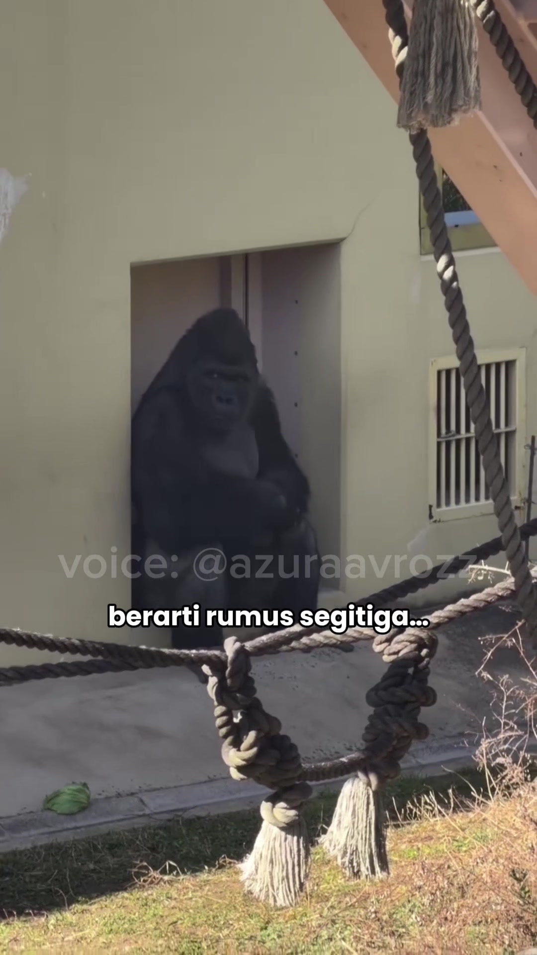 @AzuraaVrozz 侍