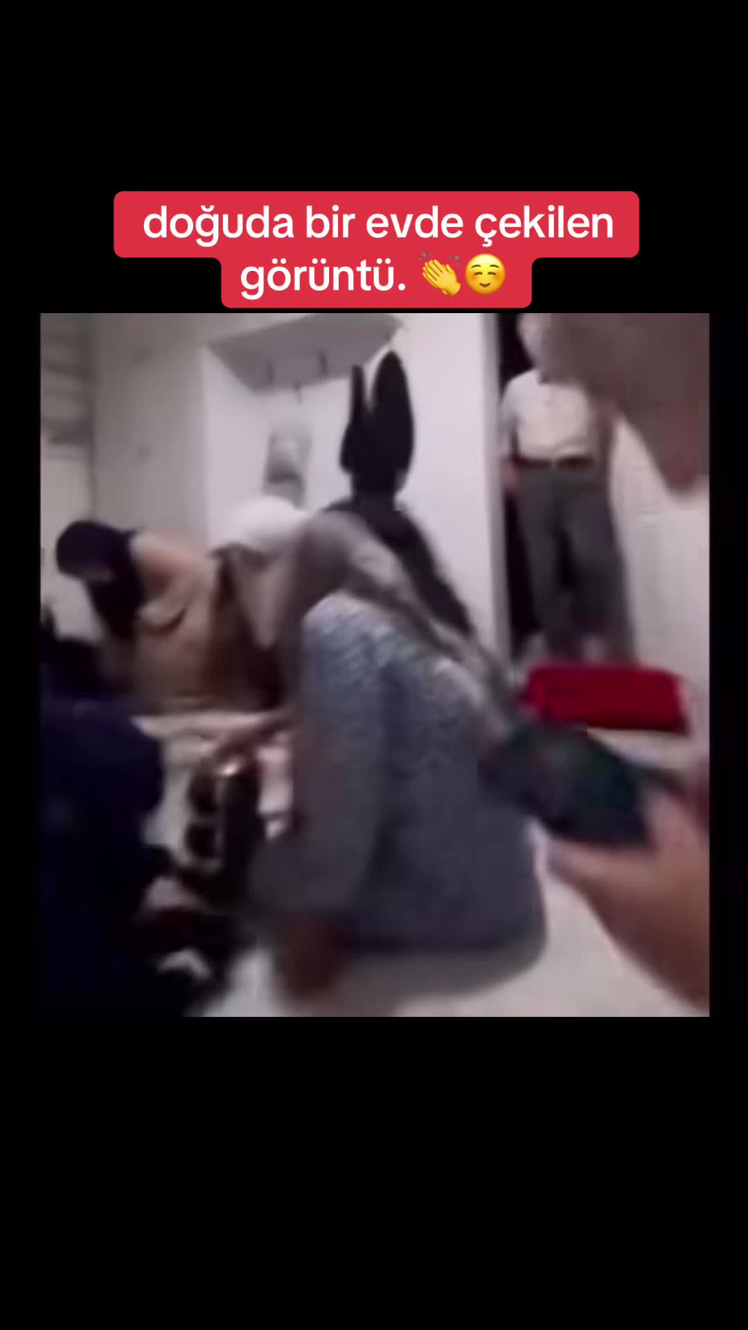@亗𝐏𝐀𝐓𝐍𝐎𝐒𝐋𝐔亗