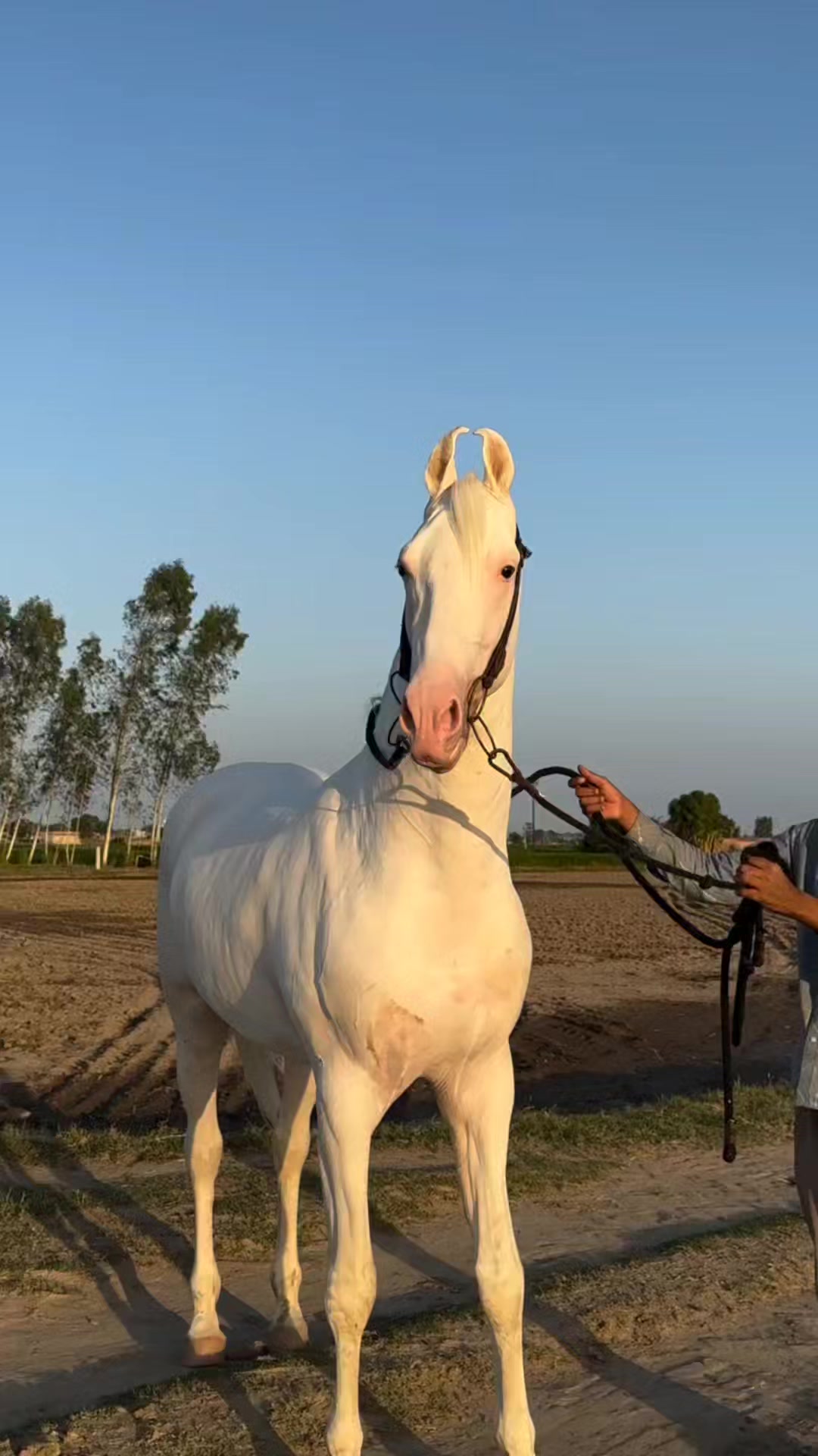@🇬🇧🇲Ꮻ𝕃₳𝗝₳𝒯₸♡🇦🇪