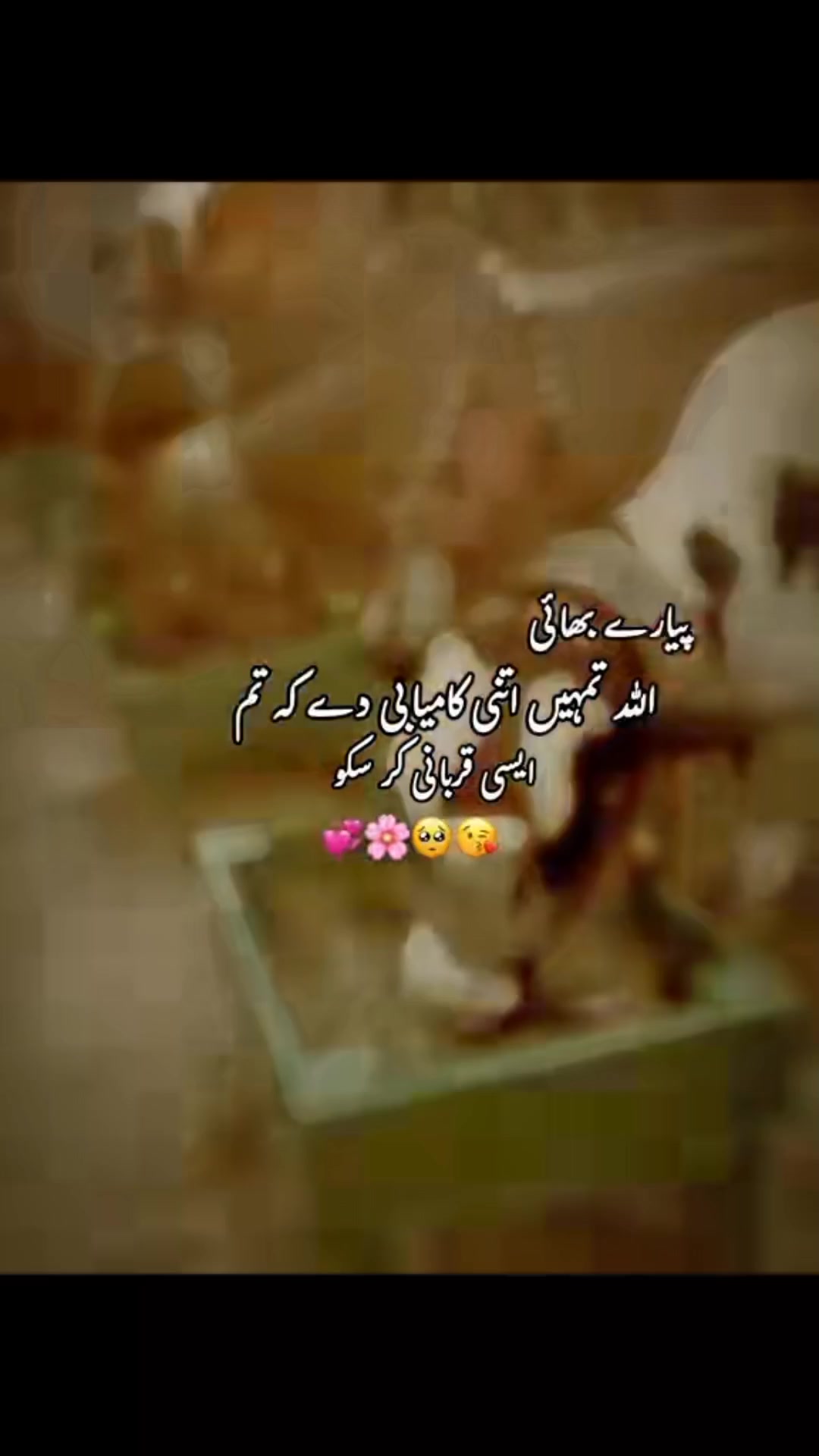 @Muhammad raffy Malik 09