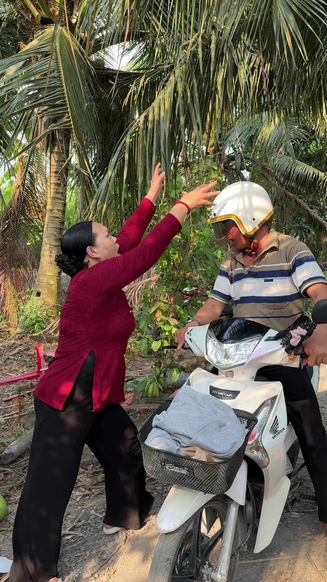 @Ngọc Tình