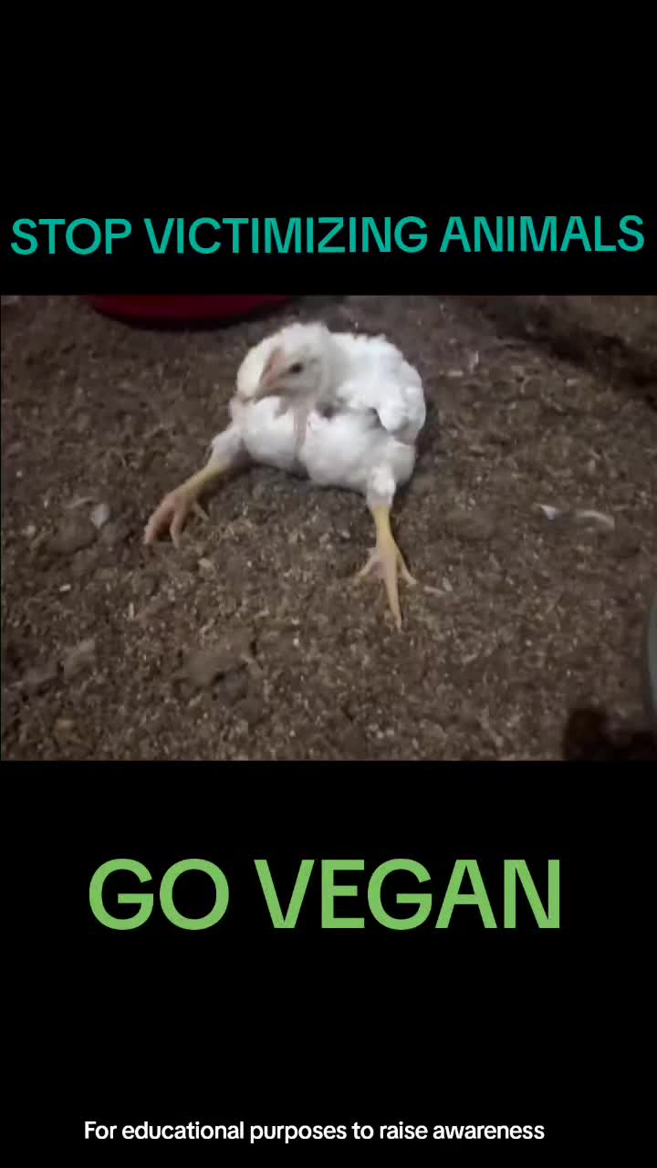 @advocate4animals