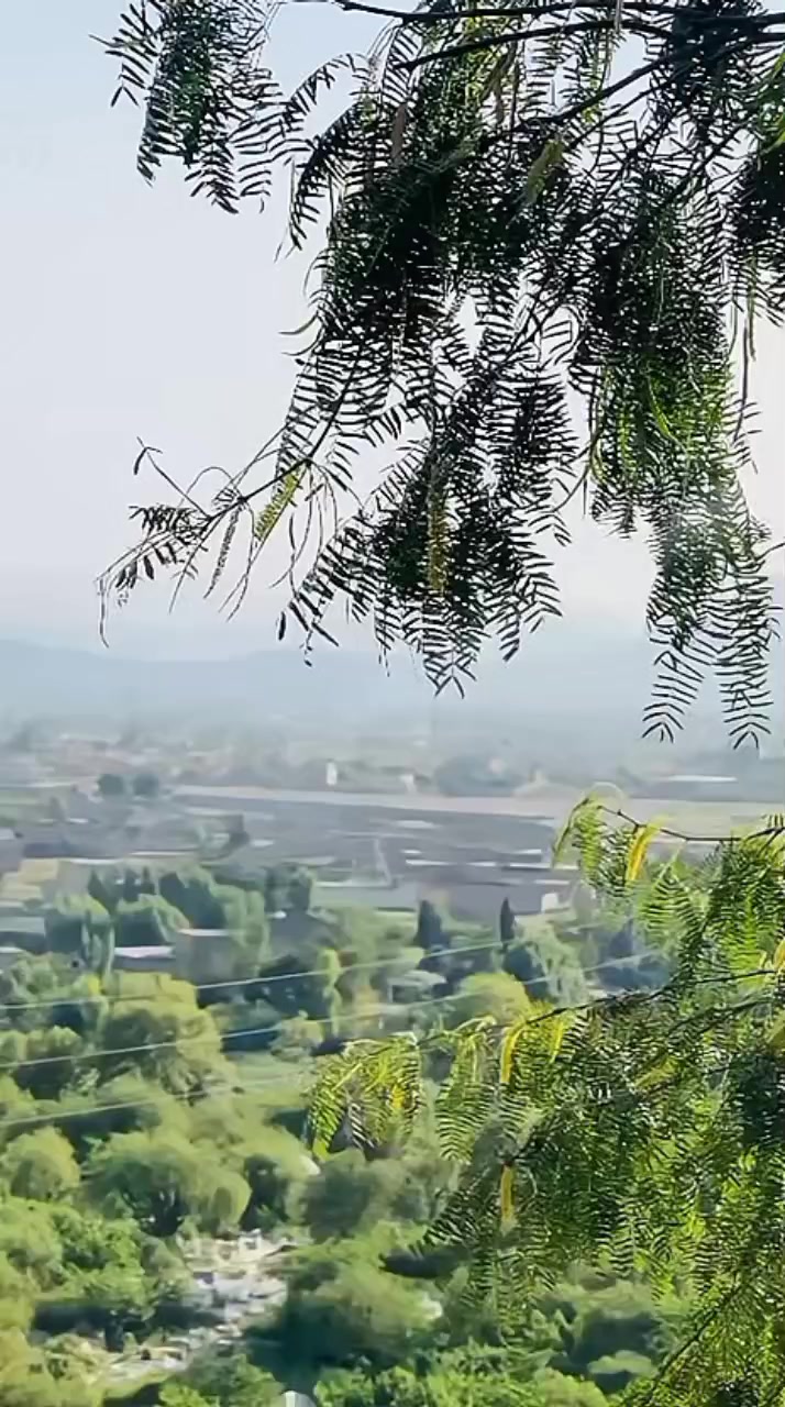 @شاکر اورکزئ 🦅