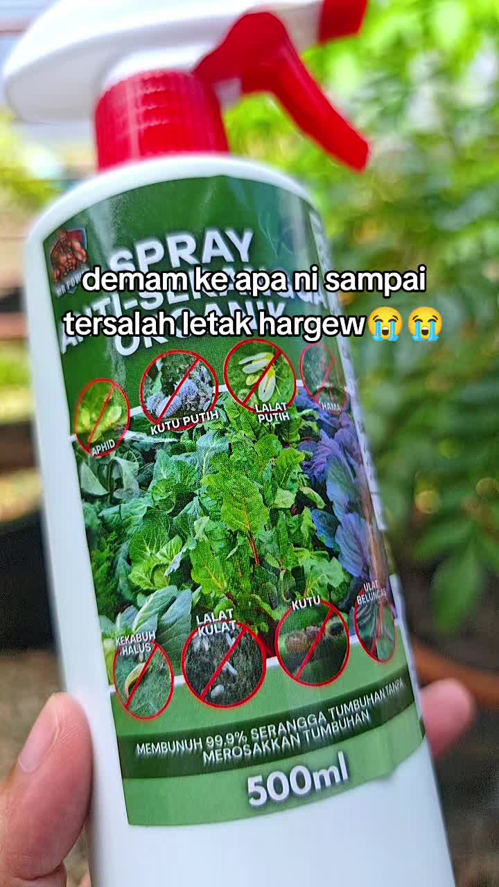 @Diary Jannah