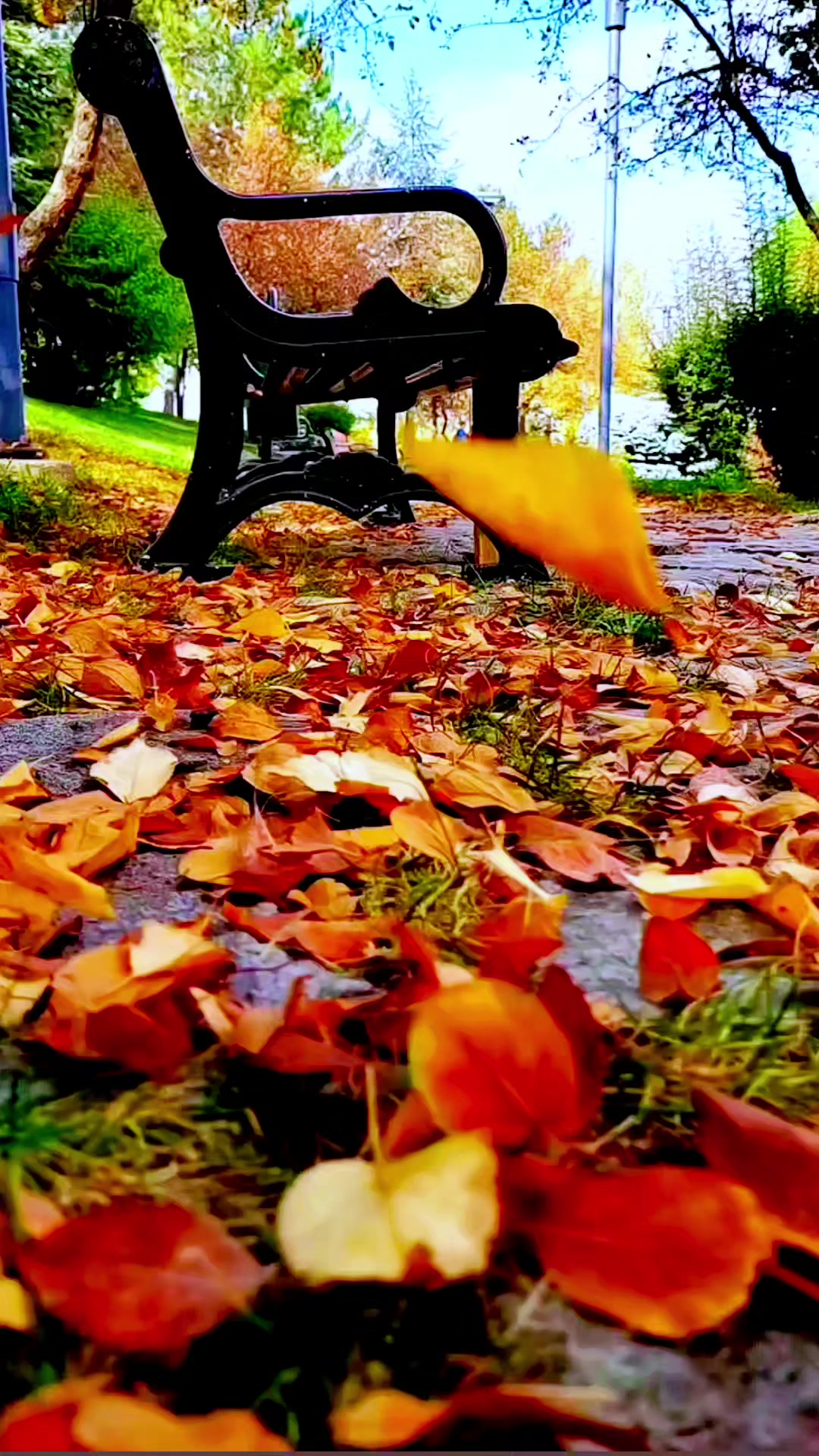 @04ENES10