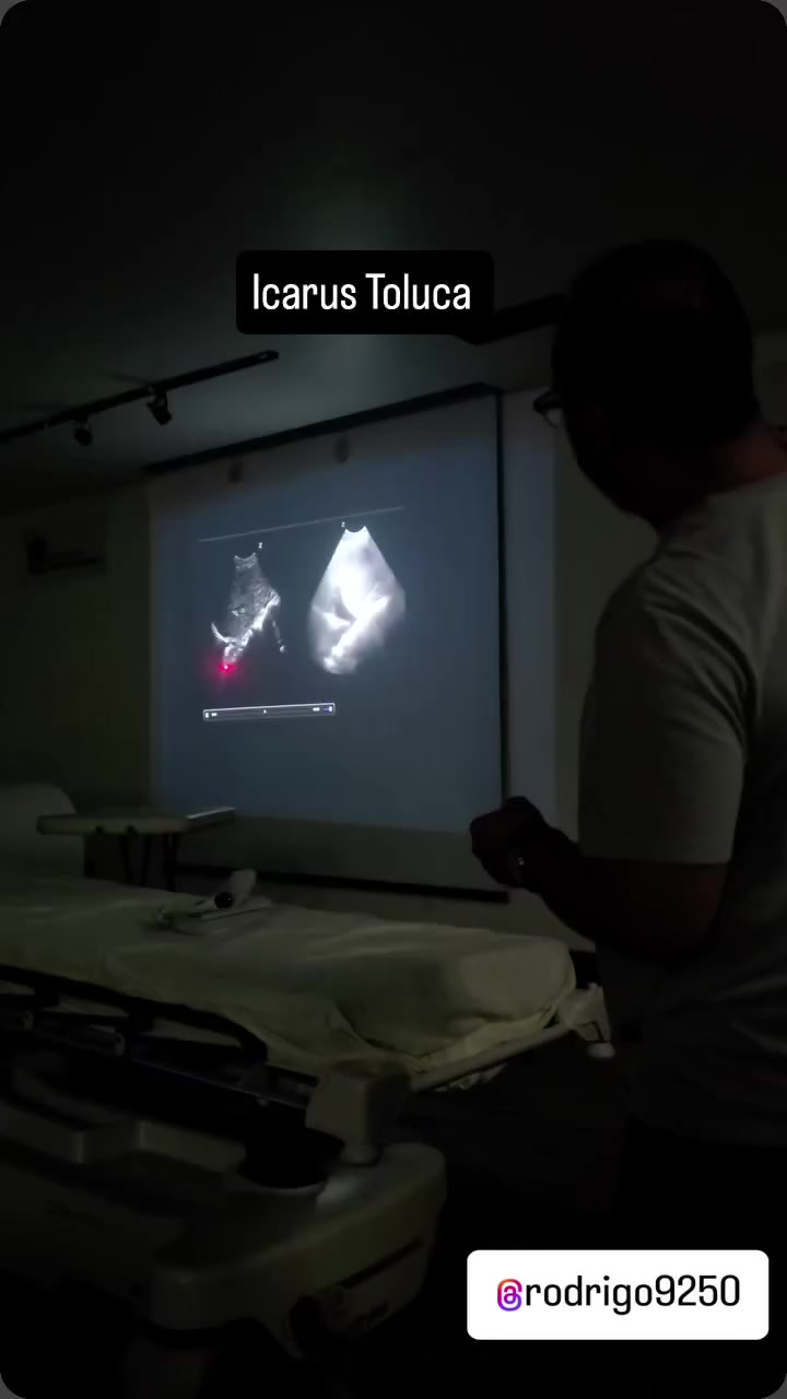 @Dr. Ajolote.
