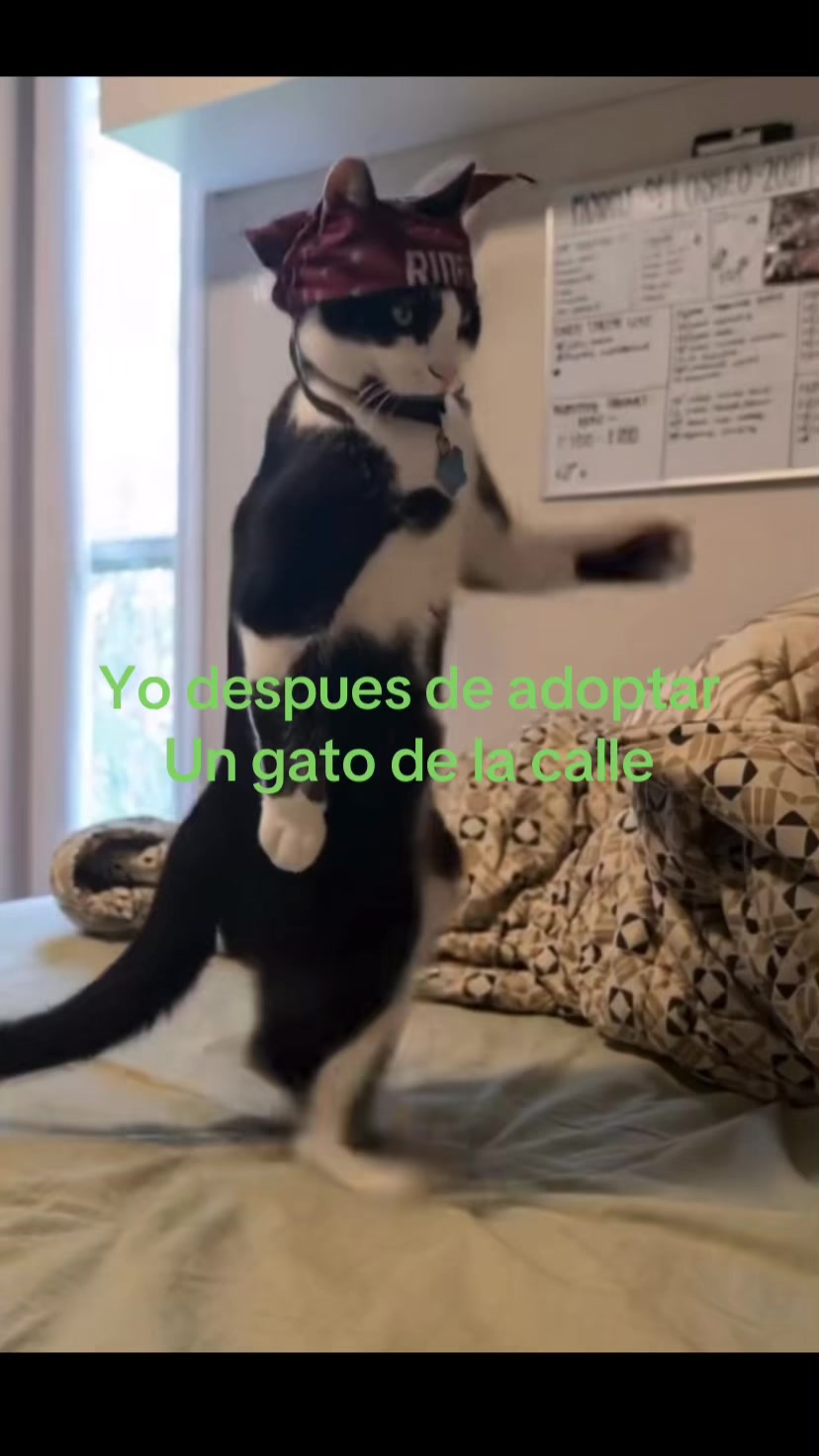 @Elglock1.7