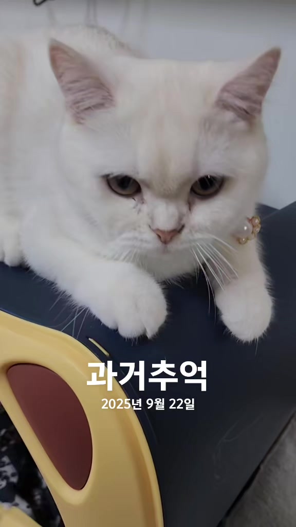 @박씨 거실