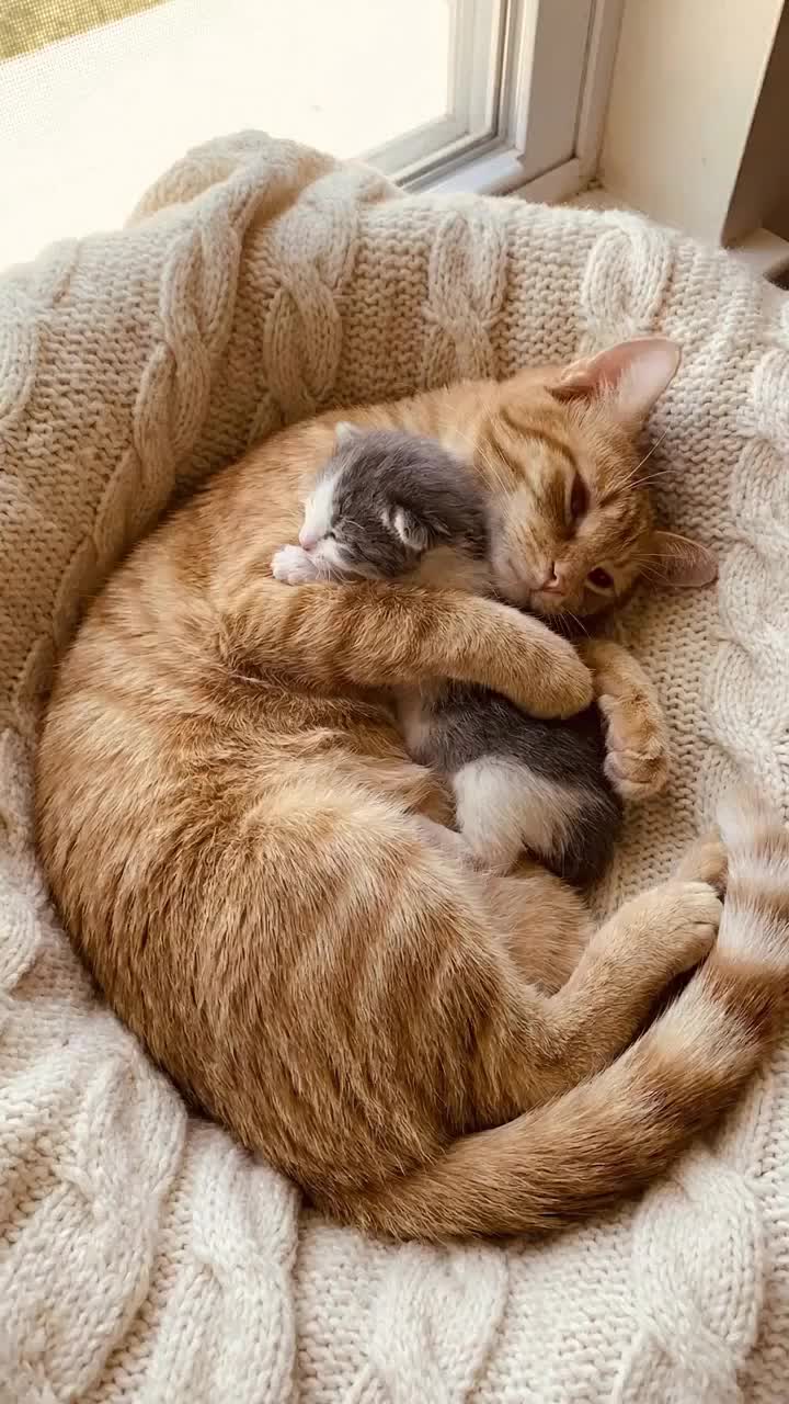 @morning 07