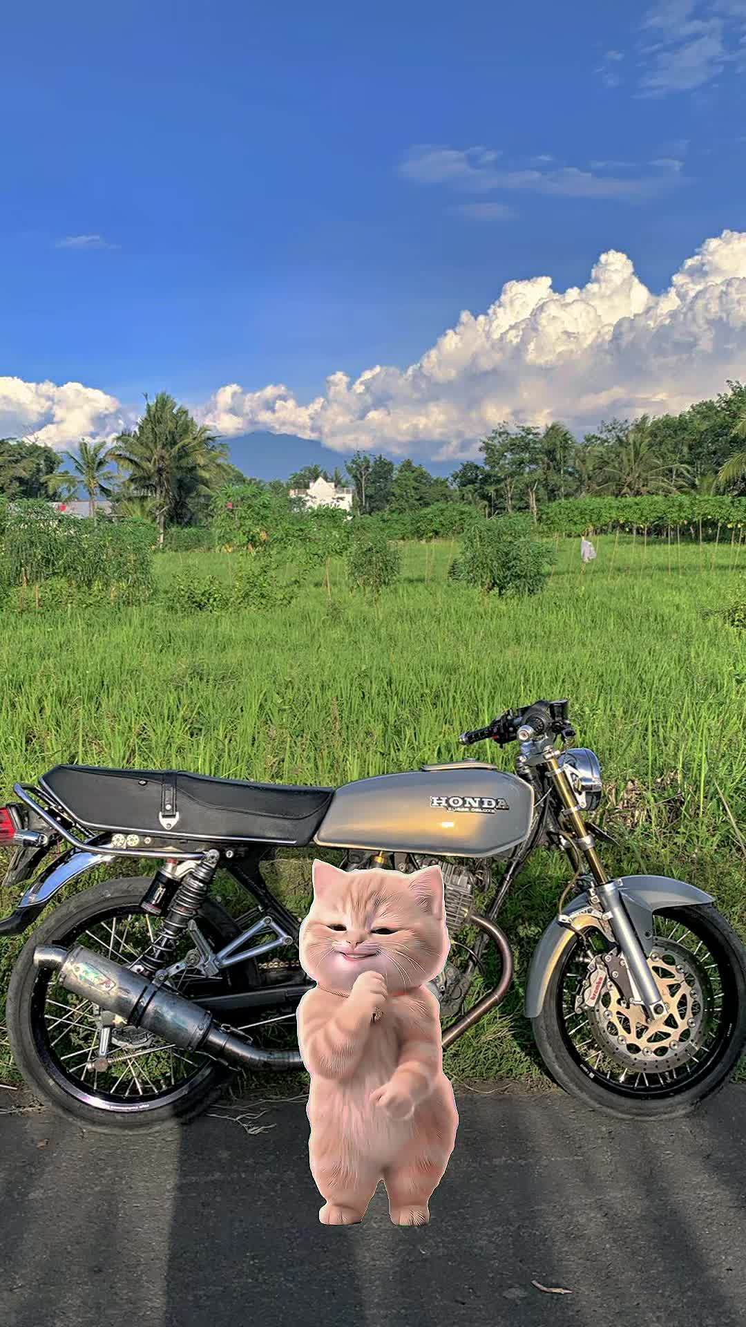 @Caustin
