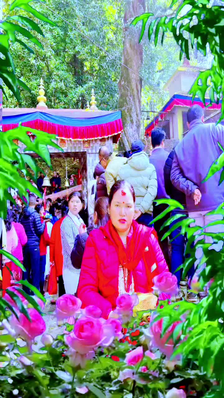 @Jamuna Lama