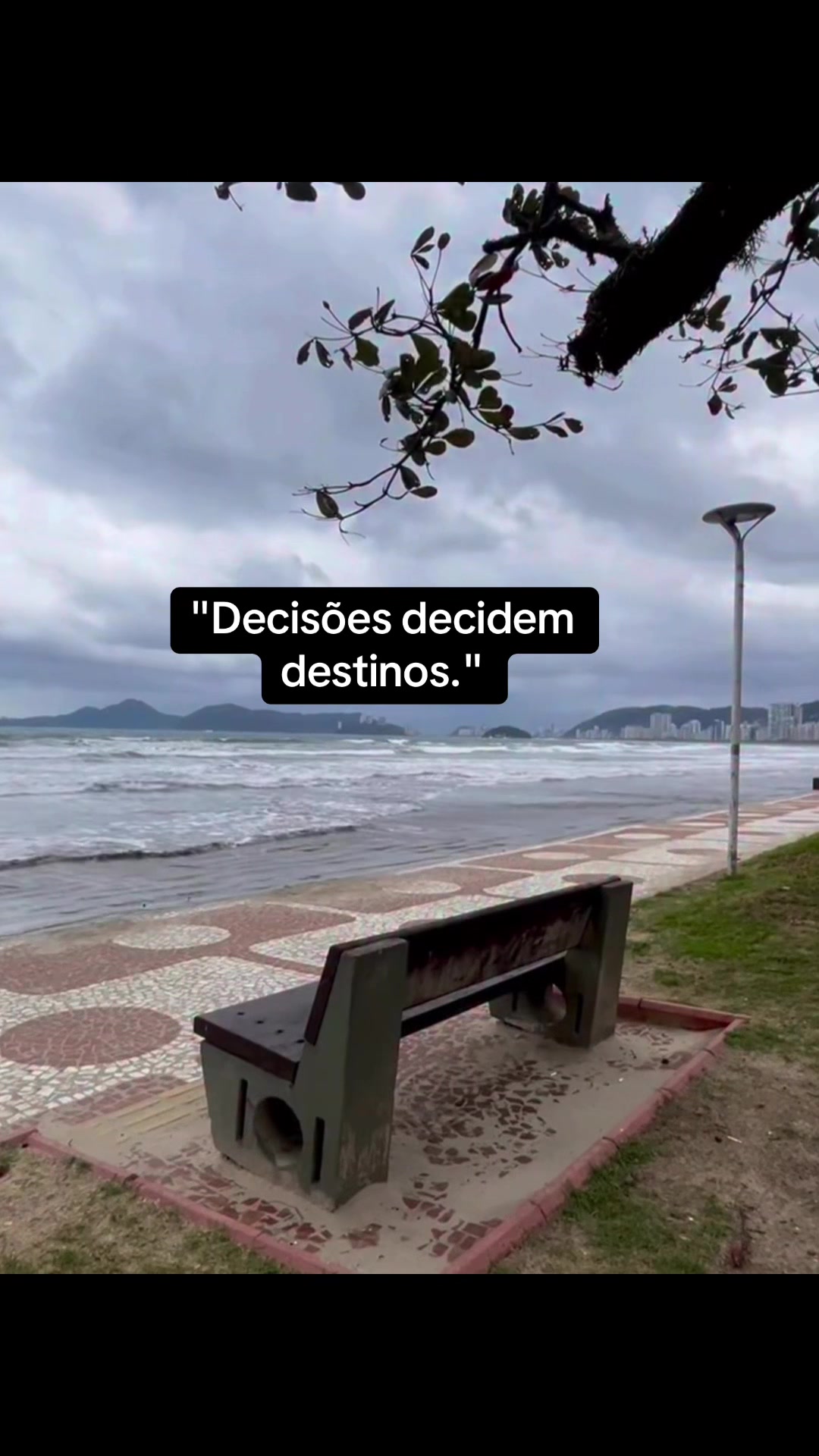 @FrasesCarvalho1985💚