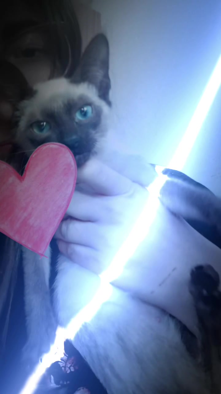 @Eveee
