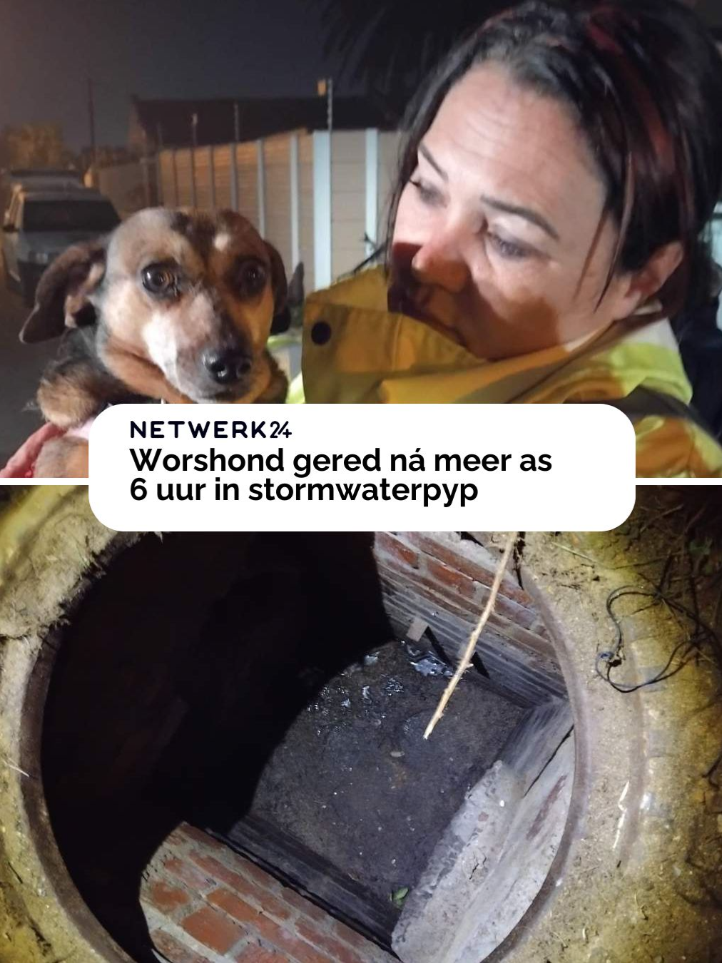 @Netwerk24
